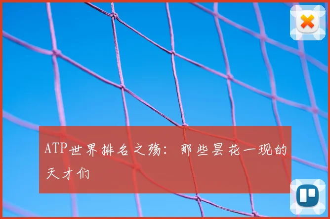 ATP世界排名之殇：那些昙花一现的天才们