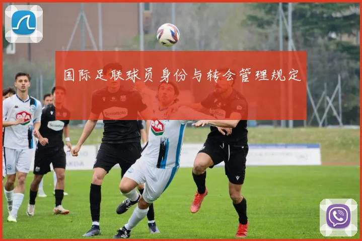 国际足联球员身份与转会管理规定